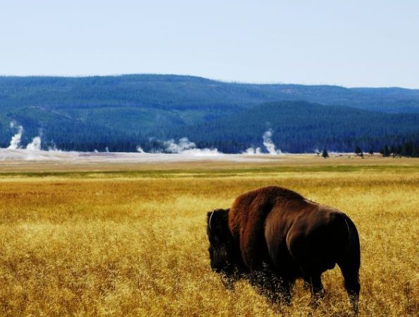 Best state parks in the U.S.